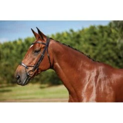 Collegiate Comfitec Training Bridle - Black -Kensington Supplies Shop 322013 800 800