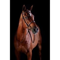 Collegiate Comfort Crown Fancy Stitched Raised Cavesson Bridle - Brown