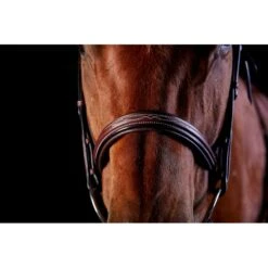 Collegiate Comfort Crown Fancy Stitched Raised Cavesson Bridle - Brown -Kensington Supplies Shop 324435 800 800