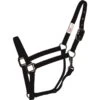 Western Rawhide SignatureFashion Halter W/Black Nickel Finish Hardware - Black