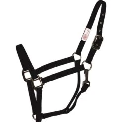 Western Rawhide SignatureFashion Halter W/Black Nickel Finish Hardware - Black
