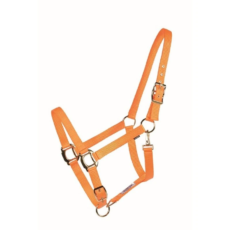 Western Rawhide Country Legend Soft-Touch Halter - Orange 1 Western Rawhide Country Legend Soft-Touch Halter - Orange