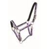 Western Rawhide Country Legend Nubuck Padded Halter - Purple/Grey/Charcoal
