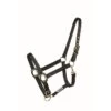 Western Rawhide Country Legend Soft-Touch Halter - Black