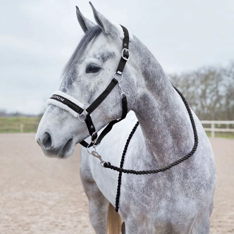 Horze Howard Soft Lead - Black 2 Horze Howard Soft Lead - Black - Image 2