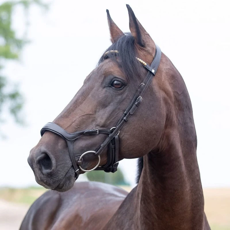 Horze Stewart Anatomical Bridle - Dark Brown 2 Horze Stewart Anatomical Bridle - Dark Brown - Image 2