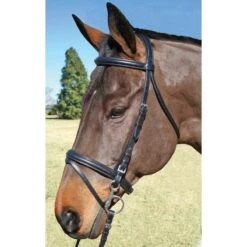 Nunn Finer Brentina Sewn In Flash Dressage Bridle - Black/Zinc