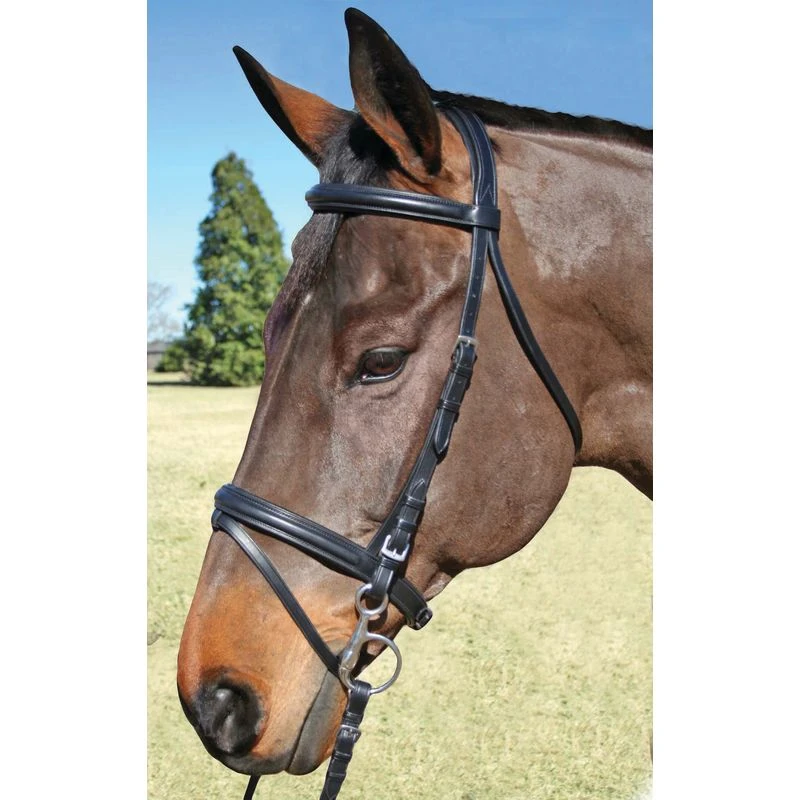 Nunn Finer Brentina Sewn In Flash Dressage Bridle - Black/Zinc 1 Nunn Finer Brentina Sewn In Flash Dressage Bridle - Black/Zinc