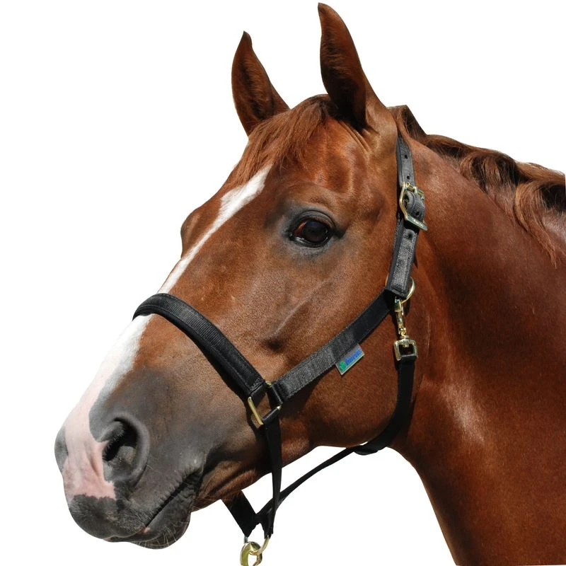 Bucas Dublin Halter - Black 1 Bucas Dublin Halter - Black