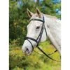 Shires Avignon Louisville Bridle - Havana
