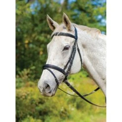 Shires Avignon Louisville Bridle - Havana