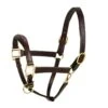 Aramas Fancy Raised Z Shaped Padded Halter - Chocolate