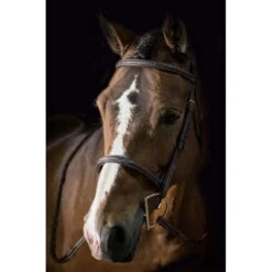 Pessoa PRO Fancy Stitched Raised Bridle - Dark Brown -Kensington Supplies Shop 435220 800 800