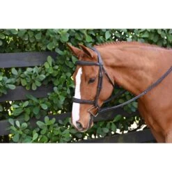 Ovation ATS Fancy Sitich Square Raised Taper Nose Bridle - Dark Brown -Kensington Supplies Shop 435980 800 800
