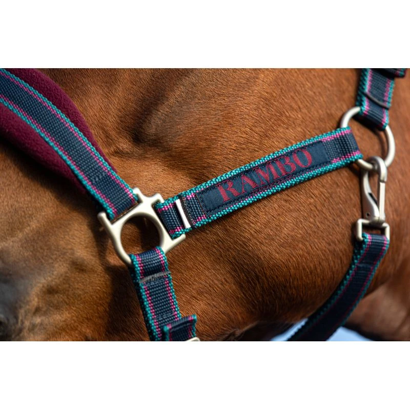 Rambo Padded Halter - Burgundy/Burgund/Teal/Navy 2 Rambo Padded Halter - Burgundy/Burgund/Teal/Navy - Image 2