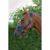 Saxon Fleece Lined Ribbon Headcollar - Navy/Blue