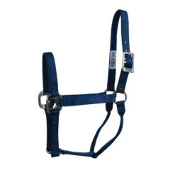Western Rawhide Signature Halter - Navy