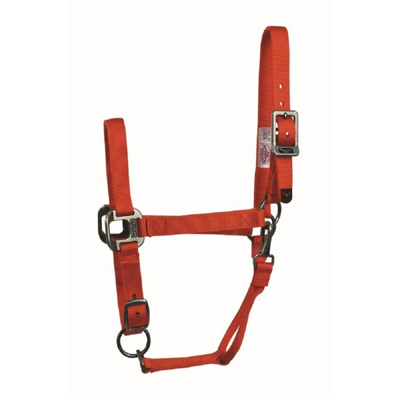 Western Rawhide Signature Halter W/Antique Silver Hardware W/Snap - Flame 1 Western Rawhide Signature Halter W/Antique Silver Hardware W/Snap - Flame