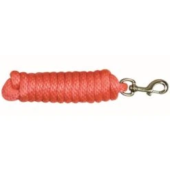Western Rawhide 10' Poly Lead W/Solid BrassBolt Snap - Hot Orange