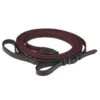 Kincade Web Draw Reins - Brown