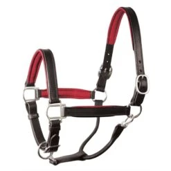 Perri's 1" Padded Leather Halter - Black/Red