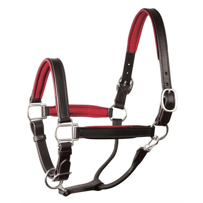 Perri's 1" Padded Leather Halter - Black/Red 1 Perri's 1" Padded Leather Halter - Black/Red