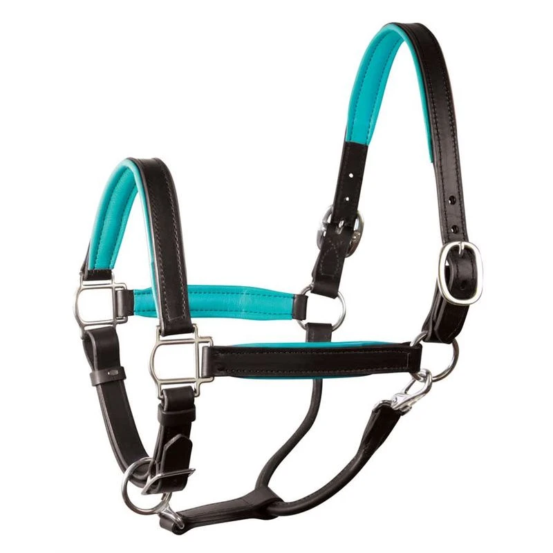 Perri's 1" Padded Leather Halter - Black/Turquoise 1 Perri's 1" Padded Leather Halter - Black/Turquoise
