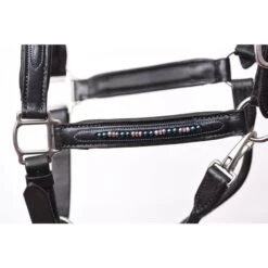 Perri's Blue Pearl Bling Padded Leather Halter - Black -Kensington Supplies Shop 500384 800 800