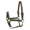 Perri's Nylon Safety Halter - Hunter Green
