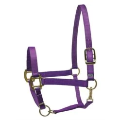 Perri's Nylon SuperHalter - Purple