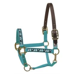 Perri's Ribbon Safety Halter - Turquoise Owl