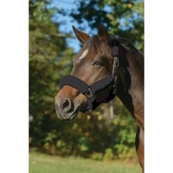 Shires ARMA Supafleece Halter Set - Black