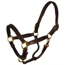 Perri's 3/4" Mini/Pony Padded Leather Halter - Havana/Brown