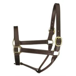 Perri's 1" Leather Track Halter - Havana