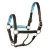 Perri's 1" Metallic Padded Leather Halter - Black/Turquoise