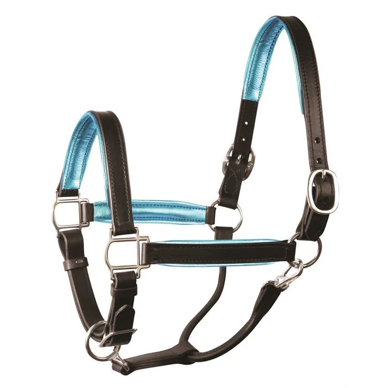 Perri's 1" Metallic Padded Leather Halter - Black/Turquoise 1 Perri's 1" Metallic Padded Leather Halter - Black/Turquoise