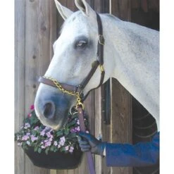 Nunn Finer Leather Shank - Havana