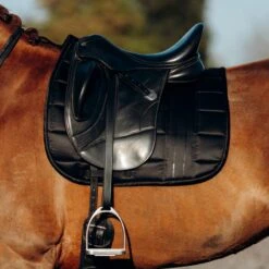 B Vertigo Drew Dressage Saddle Pad - Black -Kensington Supplies Shop 543803 800 800
