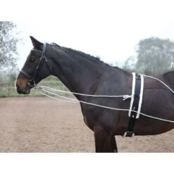 Shires Lunging Aid - Black -Kensington Supplies Shop 553778 800 800