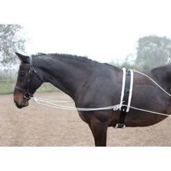Shires Lunging Aid - Black -Kensington Supplies Shop 553779 800 800