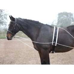 Shires Lunging Aid - Black -Kensington Supplies Shop 553780 800 800