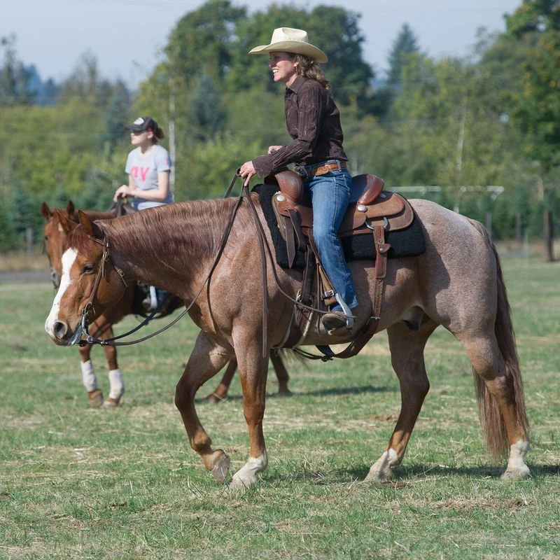 CoolBack Standard Western Pad - Black 2 CoolBack Standard Western Pad - Black - Image 2