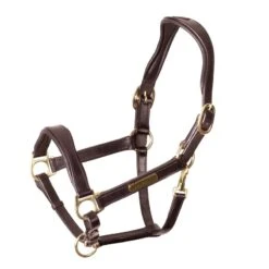 Shires Velociti Rapida Cushioned Leather Headcollar - Havana