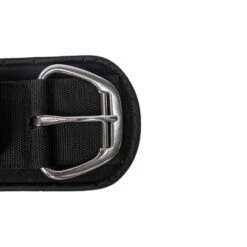 Back On Track Gentle Touch Western Staight Cinch - Black -Kensington Supplies Shop 621412 800 800