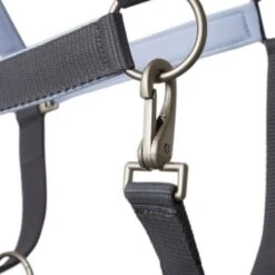 Horze Arizona Fleece Lined Halter - Smoked Pearl Grey -Kensington Supplies Shop 660183 800 800