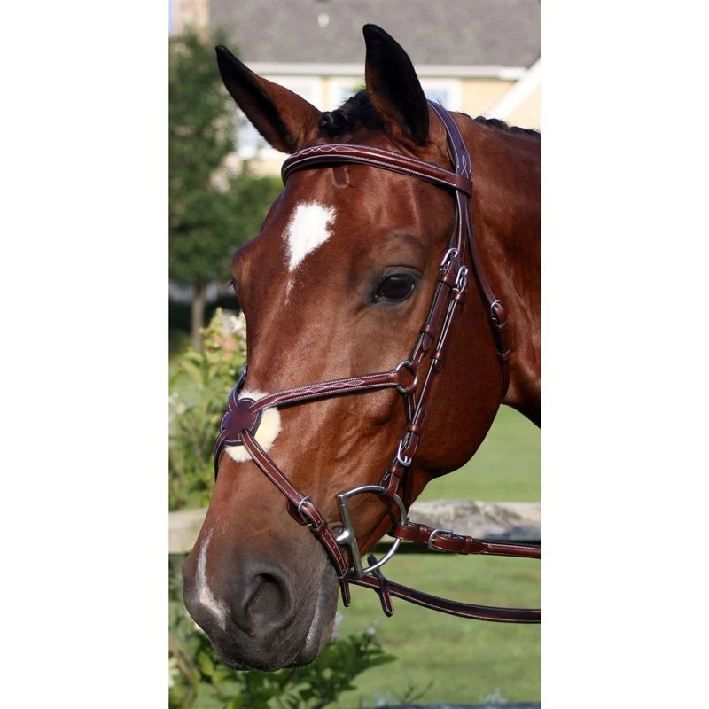 Nunn Finer Milano Bridle - Havana 1 Nunn Finer Milano Bridle - Havana