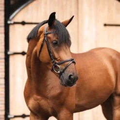 Horze Ice Water Removable Flash Bridle - Black -Kensington Supplies Shop 695540 800 800