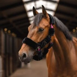 Horze Smoky Twilight Comfort Fleece Halter - Caviar Black -Kensington Supplies Shop 698794 800 800