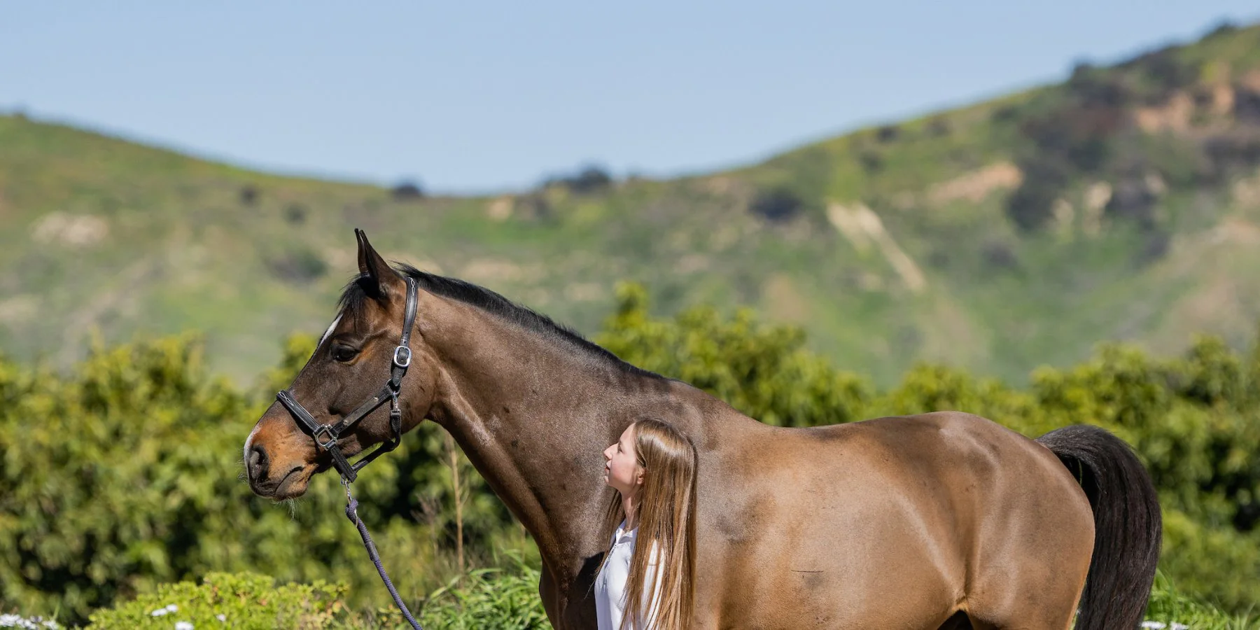 Kensington Supplies Shop -Kensington Supplies Shop IMG 8392